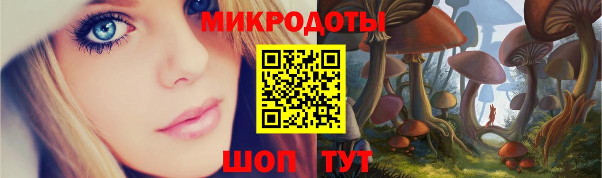 Галлюциногенные грибы Psilocybe  Вход с VPN  Кимовск 